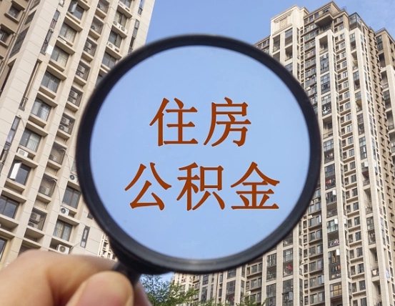 无棣可以用公积金贷款的app（无棣公积金个人消费贷款怎么贷）